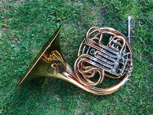 Photo: a horn on a lawn.